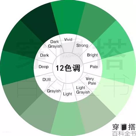 綠色的東西|分類:綠色系